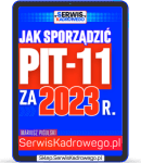 Jak sporządzić PIT-11 za 2023 r. - książka dostępna online